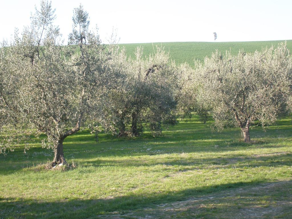 Locanda La Gozzetta Santa Luce Exterior foto